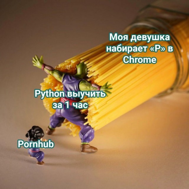 картинка 63f8a5f815 20812078