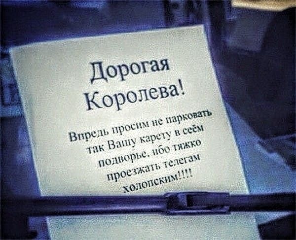 картинка 6596412f36 20815204