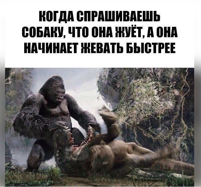 картинка 65cfcf7472 ne kazhdyj pojmet no kazhdyj ocenit 14