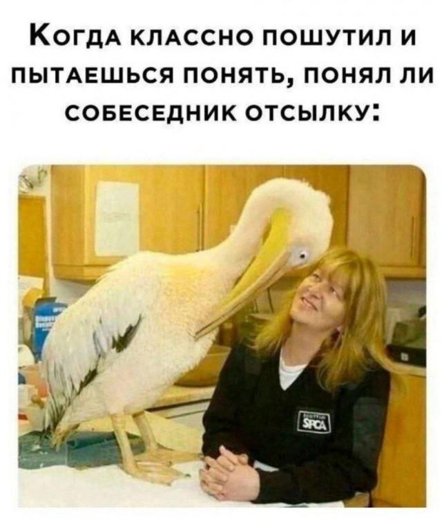 картинка 675f6ef8c0 20831684