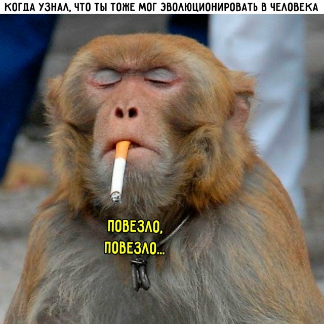 картинка 686f94c3be 20814184