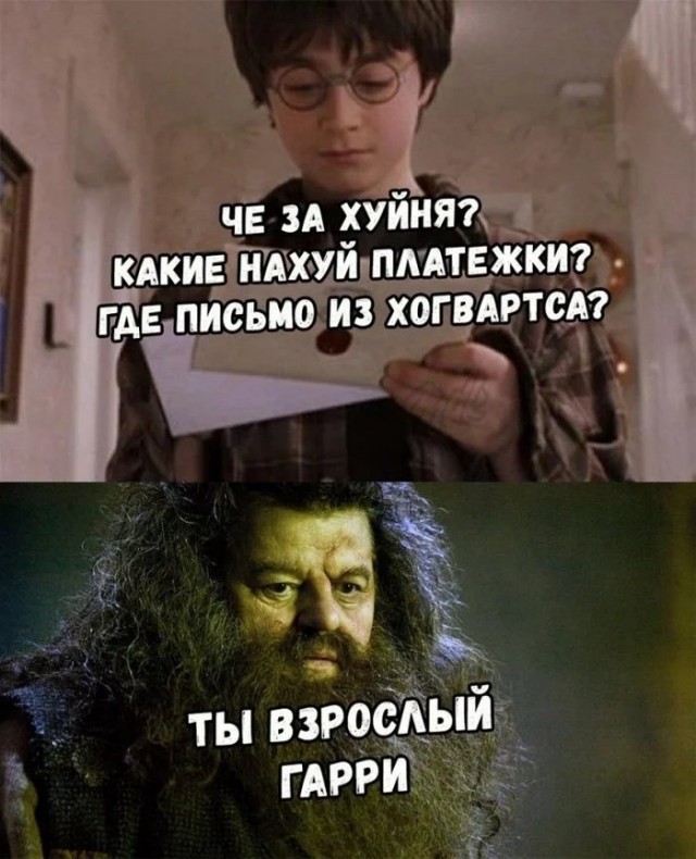 картинка 6b864183c1 20789197