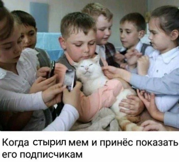 картинка 6c8076d002 20789195