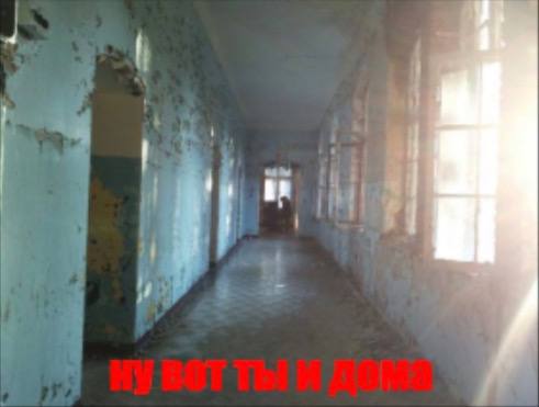 картинка 6e3f124760 20837829