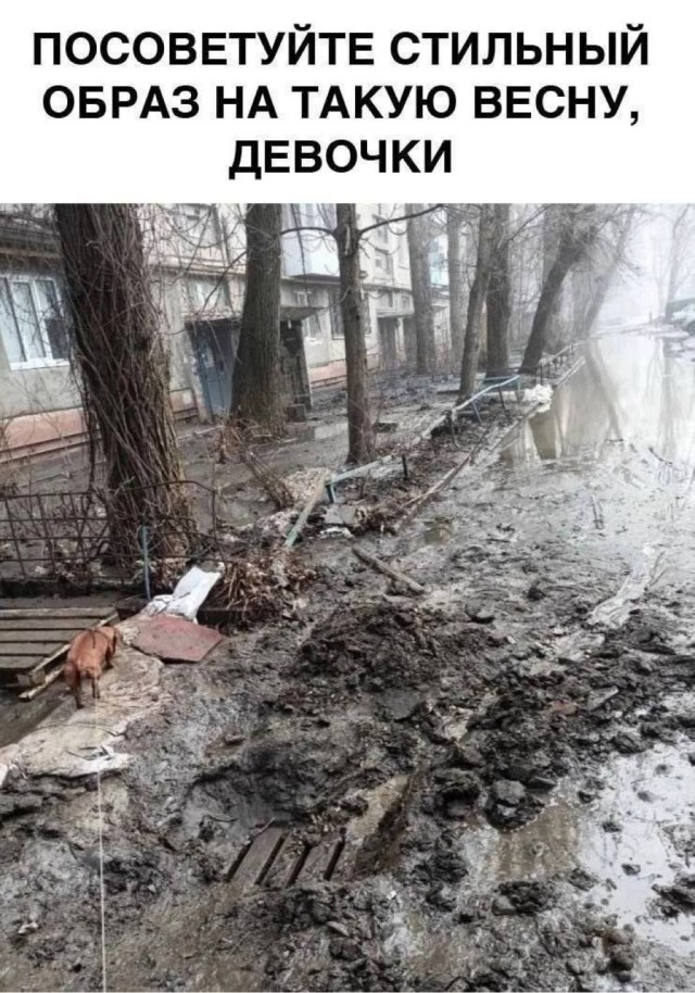 картинка 713275616d 20850562