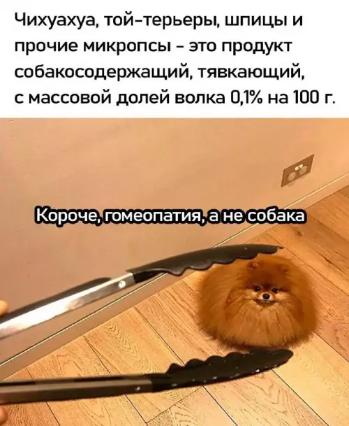 картинка 71787f4eab 20832802