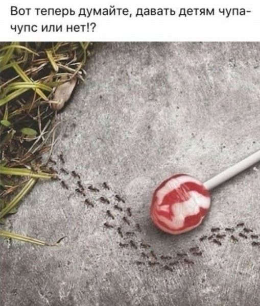 картинка 72275edc66 20827804