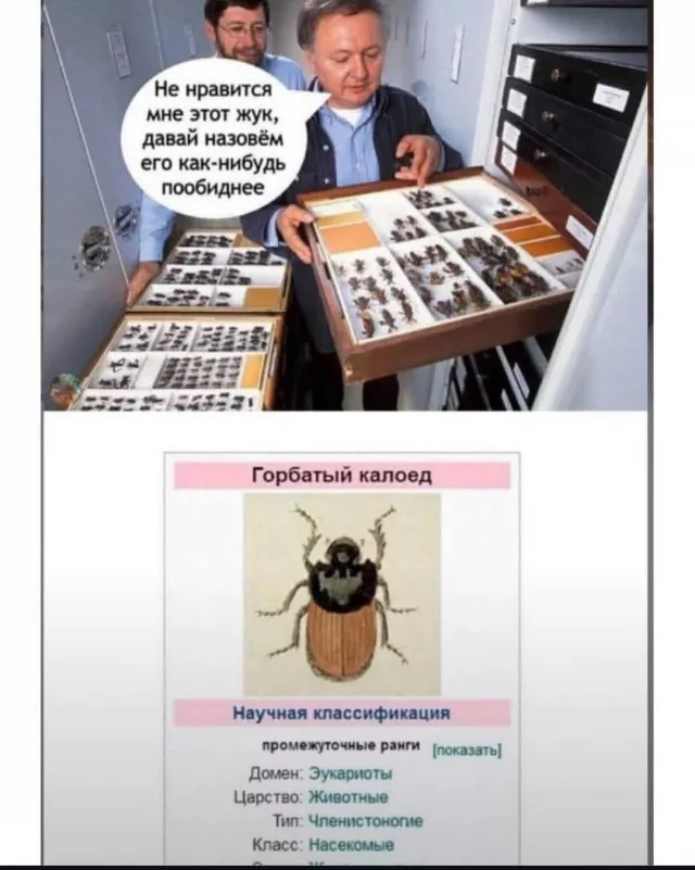 картинка 76017604ec 20775143