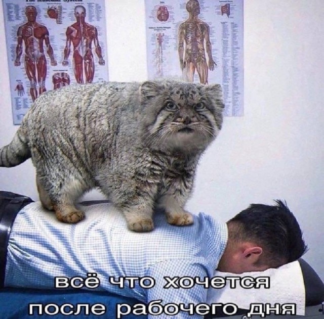 картинка 7610595503 20791280