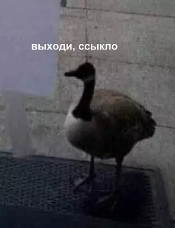 картинка 7612355df0 20775266