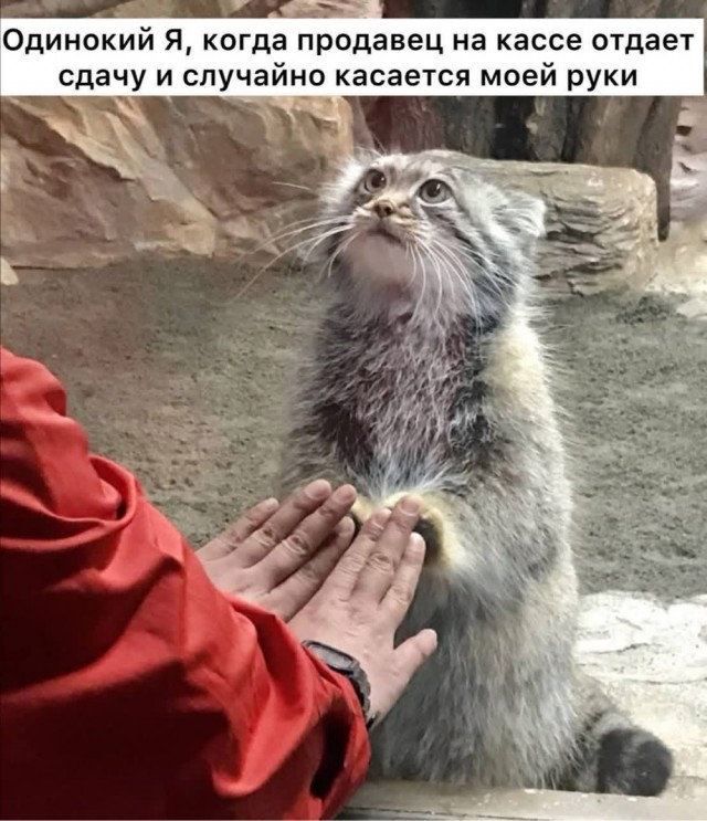 картинка 76aef890fa 20807457