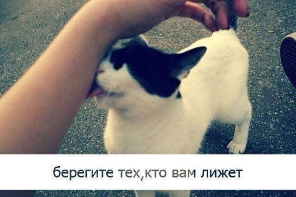 картинка 77e6ffb3ef ubojnaja podborka memov i kartinok s nadpisjami 12