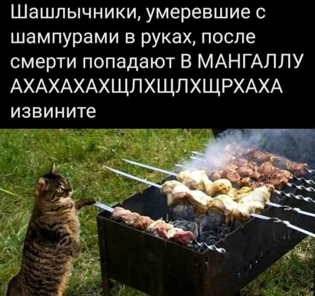 картинка 792a715417 20792172