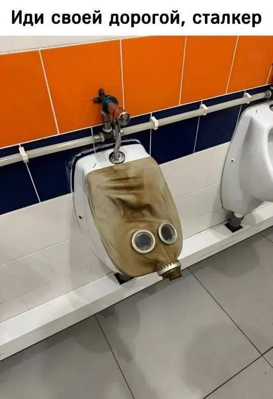 картинка 7d329e31f6 00000000000000000000