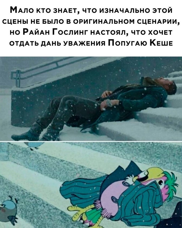 картинка 7d348160f8 vash lichnyj sbornik pozitiva memy kartinki i kommentarii 18