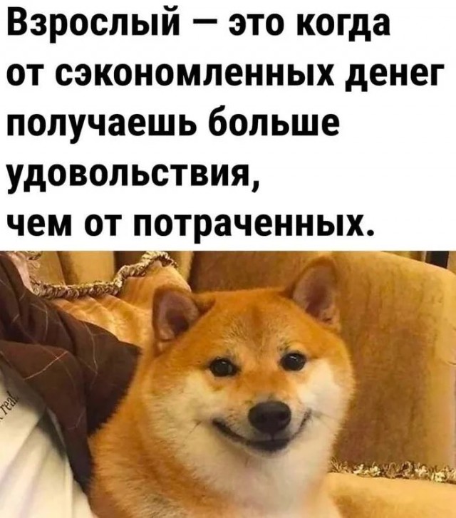 картинка 7dcea33616 20850544