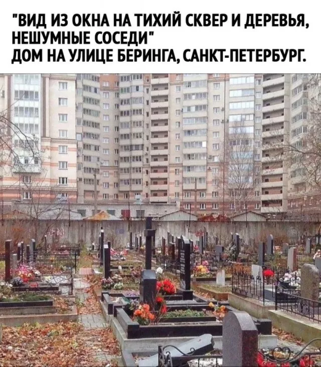 картинка 7e0b4524a3 20773396