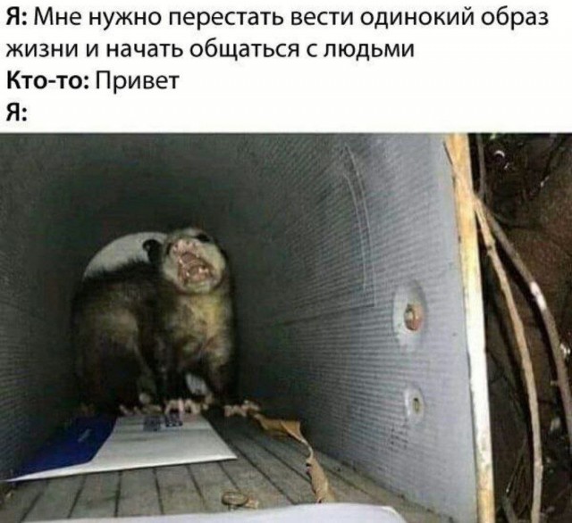 картинка 7fc385340e 20814158