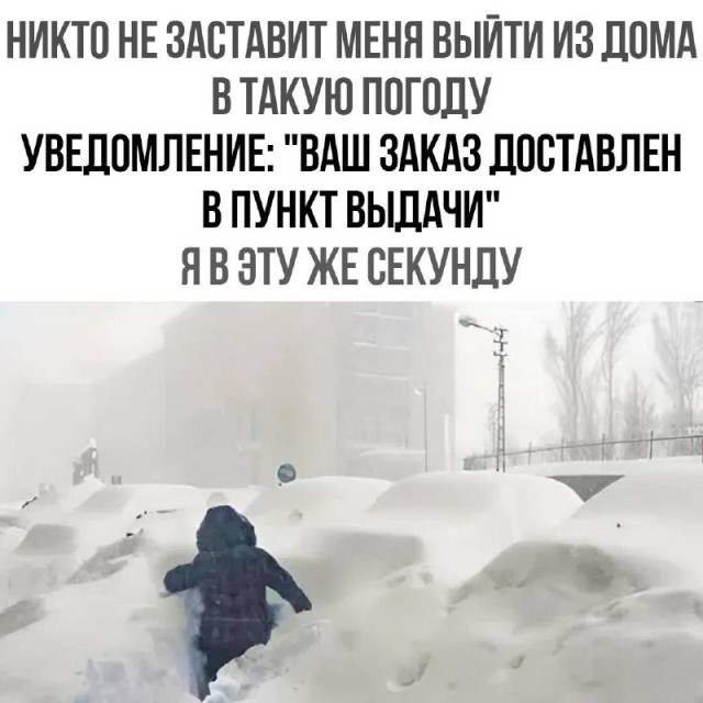 картинка 8090a16dee 20832573