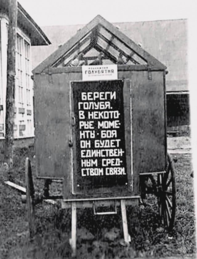 картинка 8586b8d87d 20837798