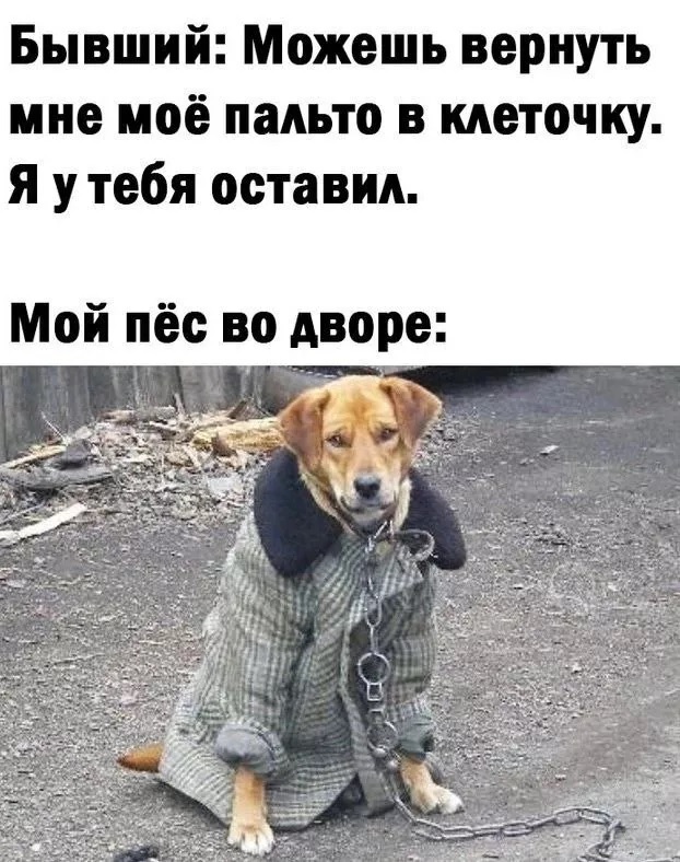 картинка 85c725df6e 20833007