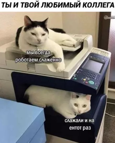 картинка 85c96942f6 20848424