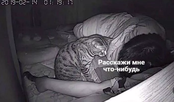 картинка 87d3a03bb3 zagljanite k nam za porciej horoshego nastroenija 10