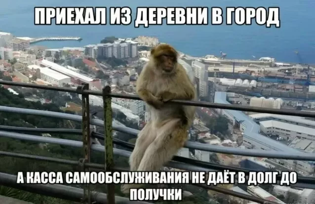 картинка 89f96834d5 20760738