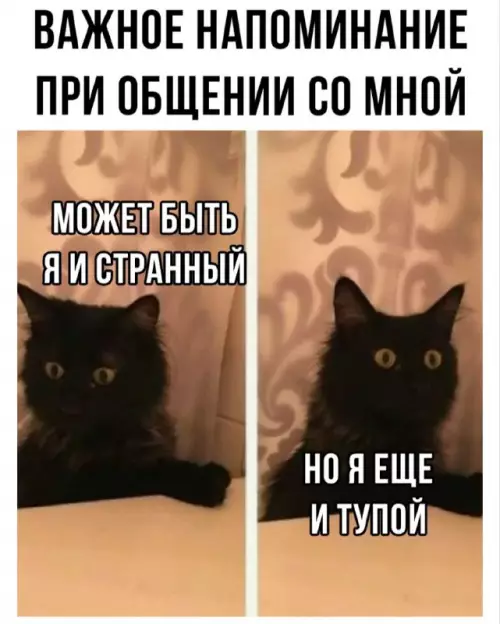 картинка 8b6a5e3b41 zabud o skuke 9