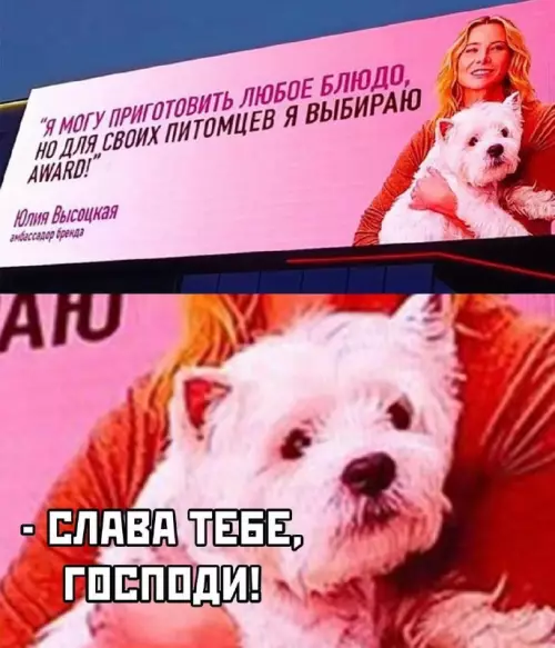 картинка 8c79749771 nakonec to pjatnica grandioznyj sbornik prikolov 14