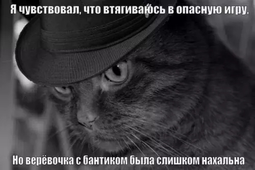 картинка 8d1bda7f8b 20832833