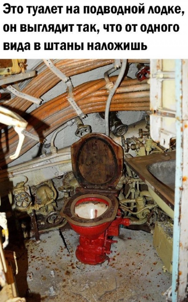 картинка 8e59e989e0 20791247