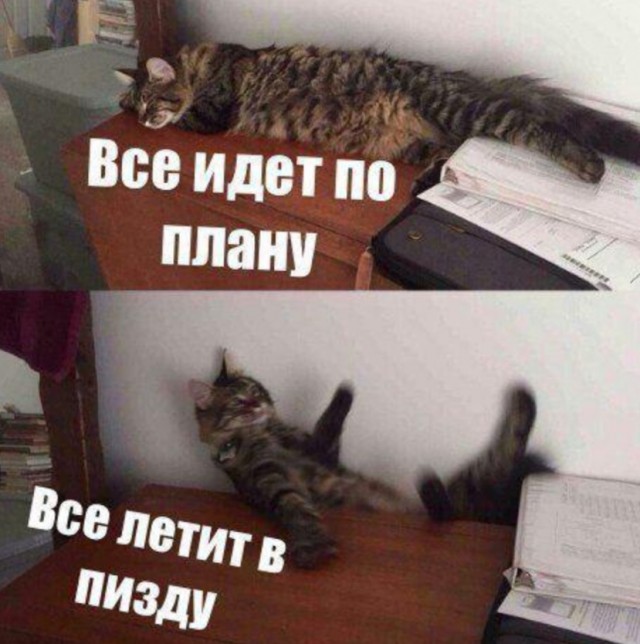 Маленькая пятница: зарядка позитивом в середине недели