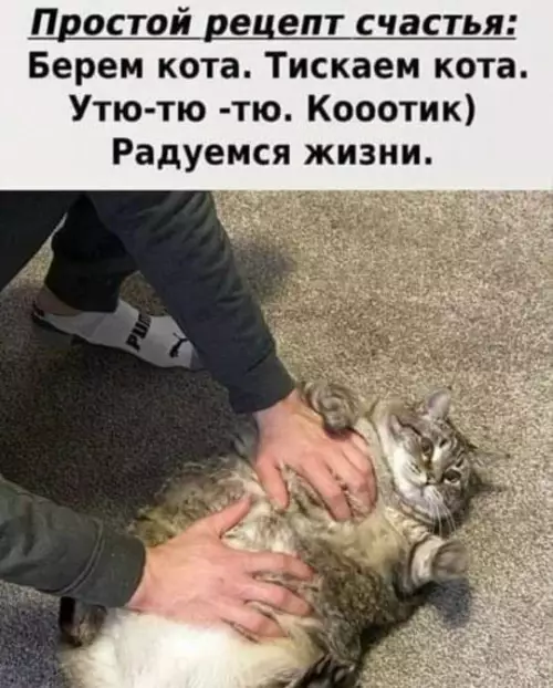 картинка 9166d24e5a 20775025