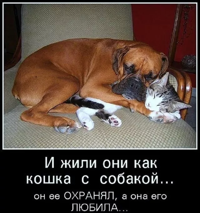 картинка 91ec400bd3 20773407