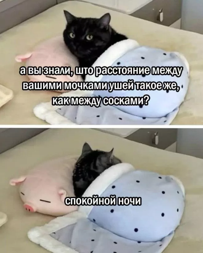 картинка 93af4cb59f gotovtes smejatsja do slez13