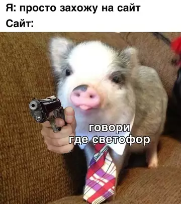 картинка 9955647b4d 20832841