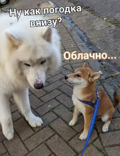 картинка 9964b2accb utro nachinaetsja s ulybki luchshie memy chtoby zarjaditsja pozitivom 9