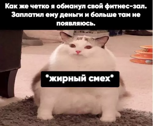 картинка 9ad53ef629 20832828