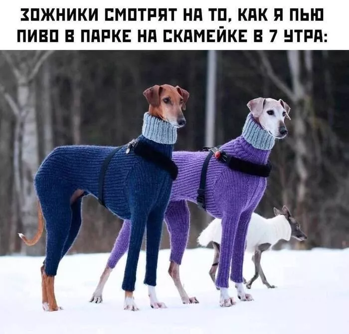 картинка 9b6fb579f4 1772341876