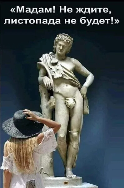 Маленькая пятница: зарядка позитивом в середине недели