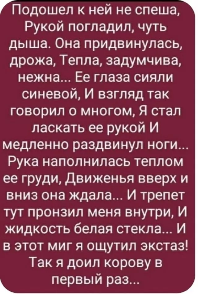 картинка 9c2b747b17 20773413