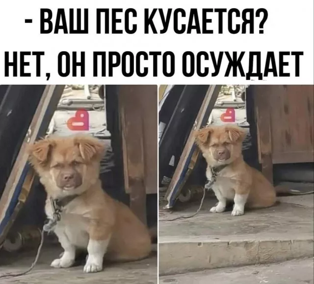 картинка 9cfabb88ba 20775184