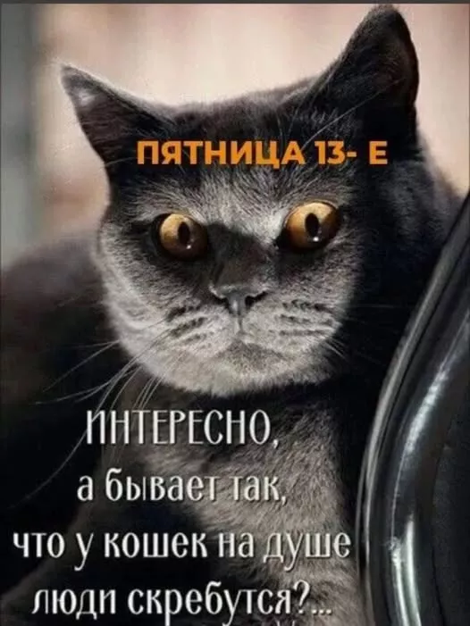 картинка 9d3de9a38c 20775568