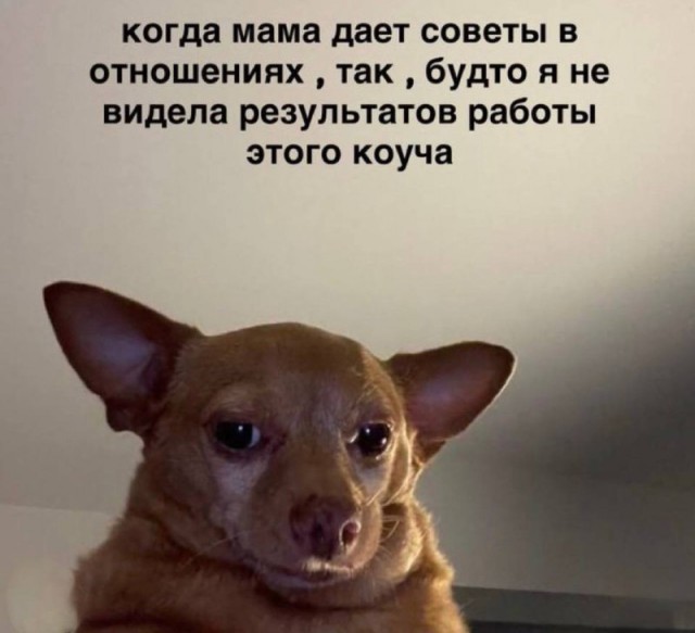 Устал от скуки? Хочется улыбнуться? Тогда тебе сюда! собрали, грусть, делись, смейся, Листай, время, любое, работают, шутки, хандру, Забудь, огромную, настроение, поднимут, точно, которые, мемов, уморительных, свежих, самых