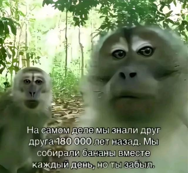 картинка 9e84057437 20759062