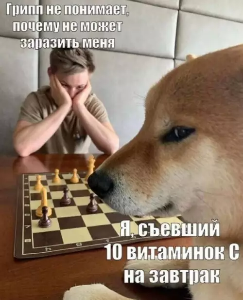 картинка a0e5dc7926 20775033