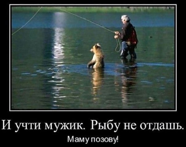 картинка a34a5c9102 20791297