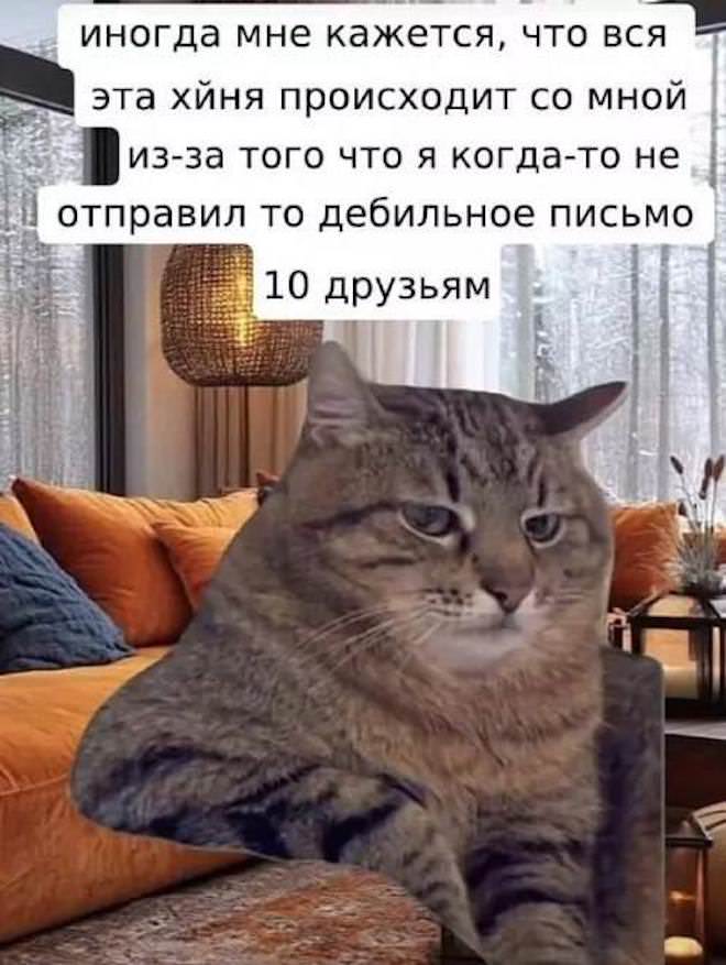 картинка a3ef125c49 lovite pozitivchik podborka svezhih shutok i memov dlja vashej malenkoj pjatnicy 2