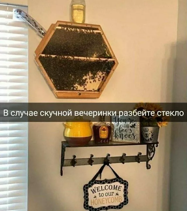 картинка a4b2d8c6f4 0000000000000000